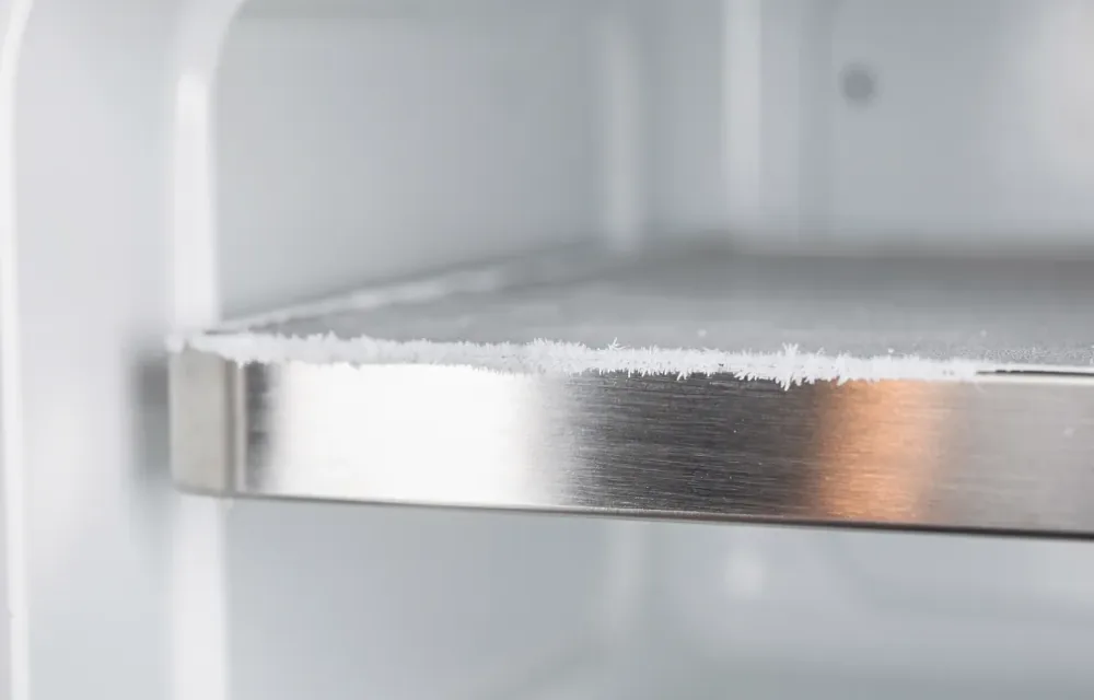 Pale frost along the edge of a clean stainless freeze-dryer shelf